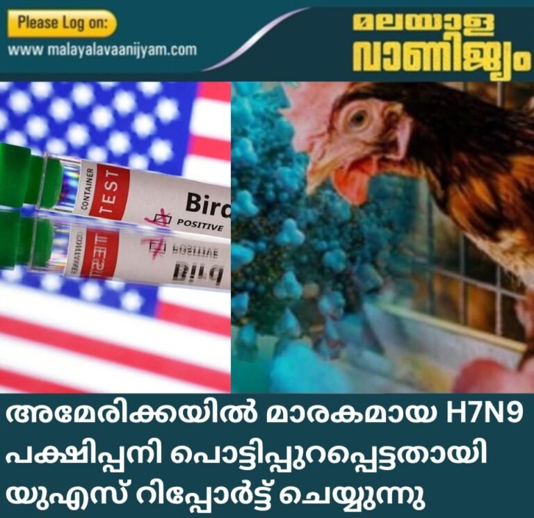 അമേരിക്കയിൽ മാരകമായ H7N9 പക്ഷിപ്പനി പൊട്ടിപ്പുറപ്പെട്ടതായി യുഎസ് റിപ്പോർട്ട് ചെയ്യുന്നു