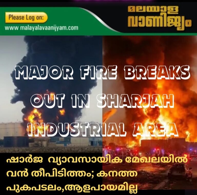 ഷാർജ വ്യാവസായിക മേഖലയിൽ വൻ തീപിടിത്തം; കനത്ത പുകപടലം,ആളപായമില്ല
